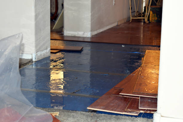 Professional Burst Pipe Cleanup technician working in Saint Leonard, MD